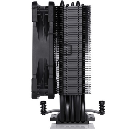 Noctua