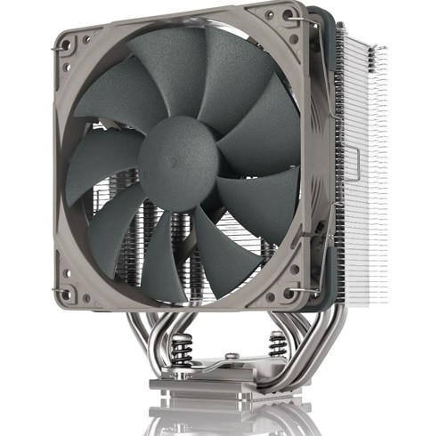 Noctua