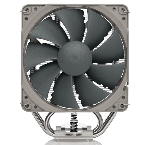 Noctua