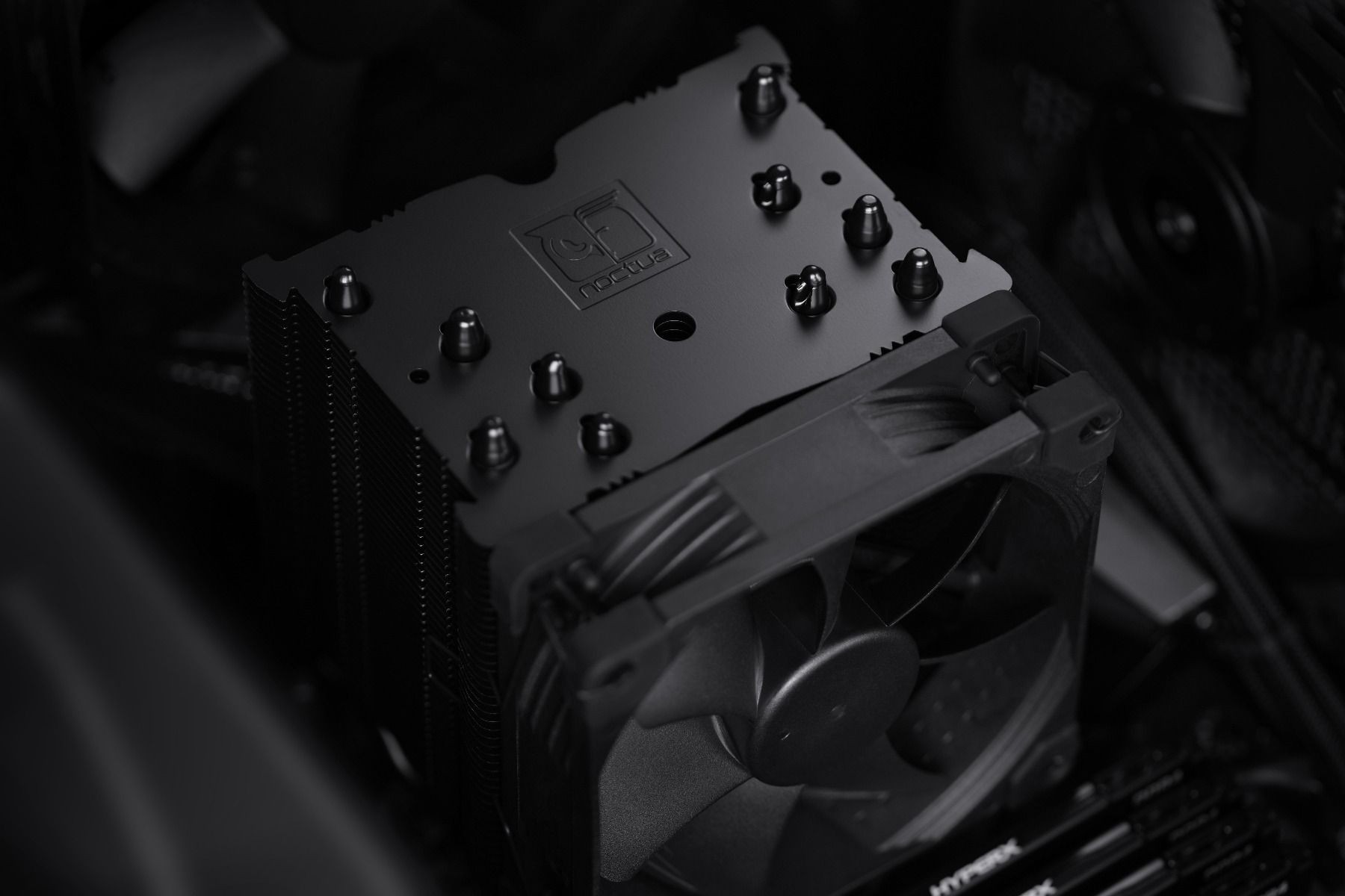 Noctua