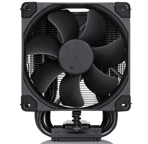 Noctua