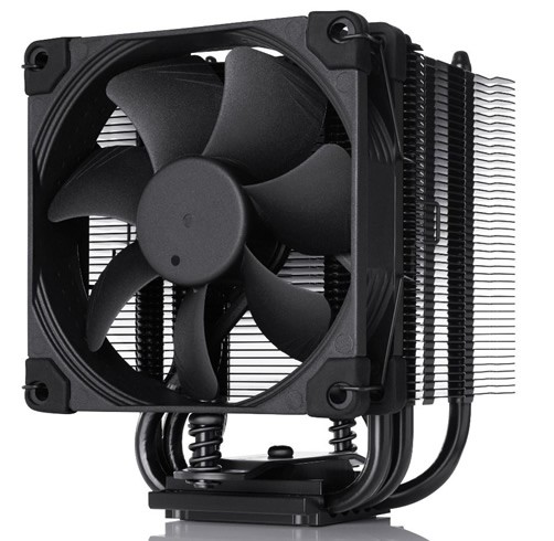 Noctua