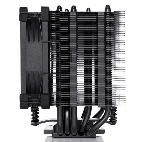 Noctua