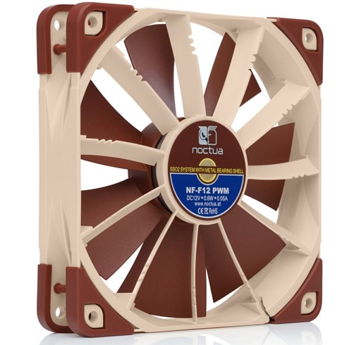 Noctua