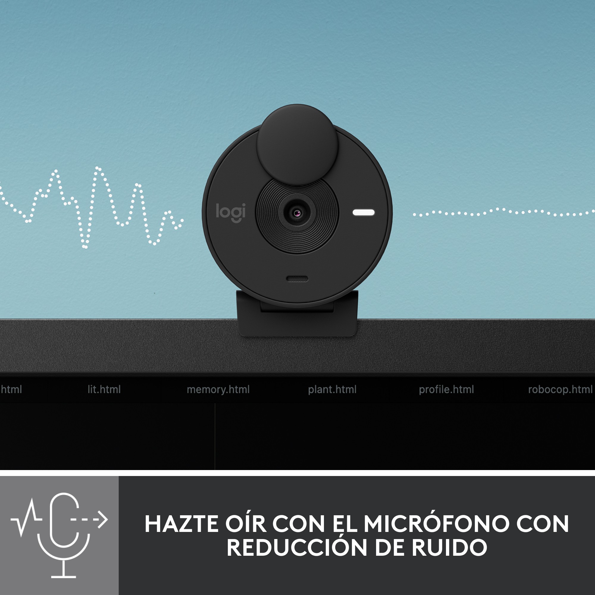Logitech Brio 300