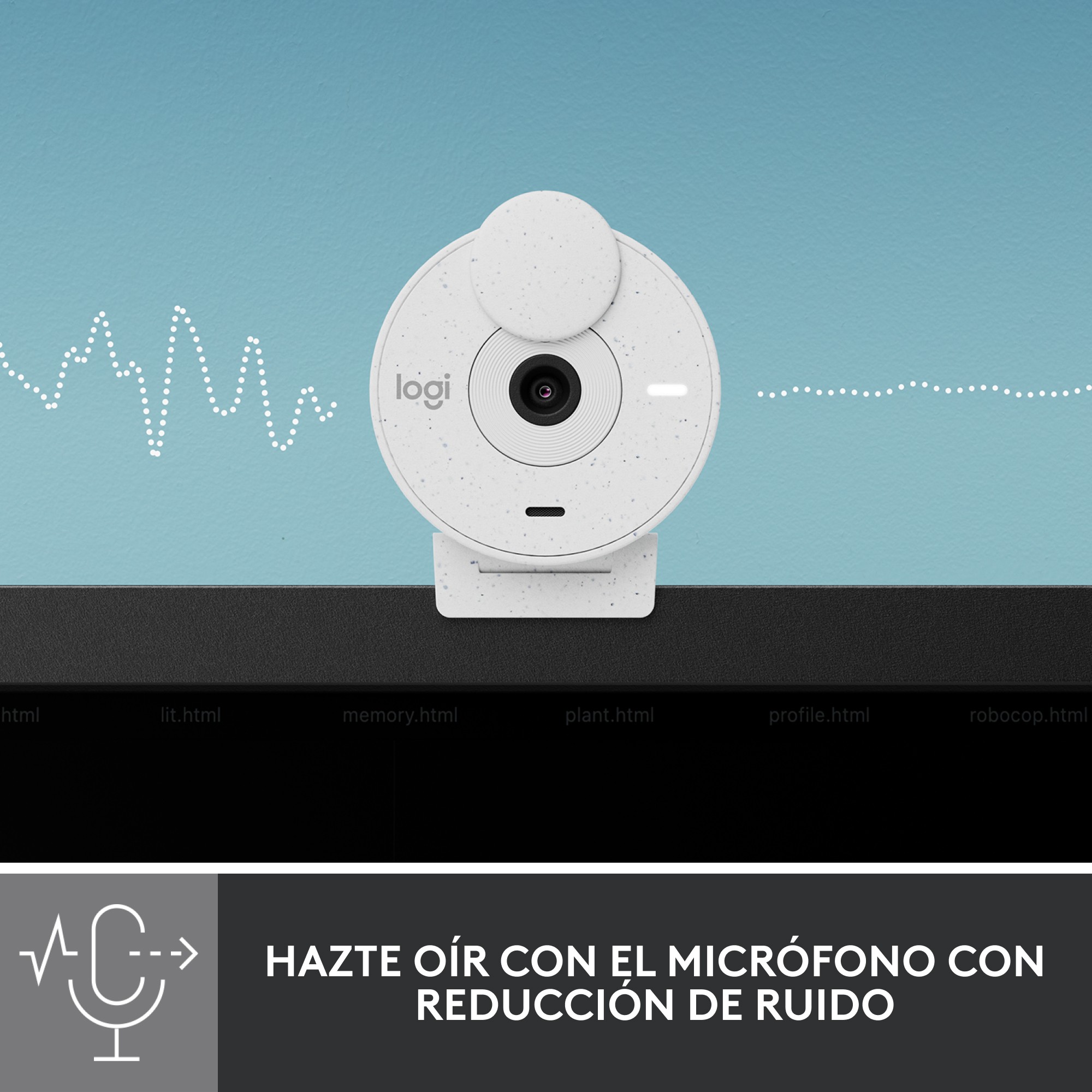 Logitech Brio 300